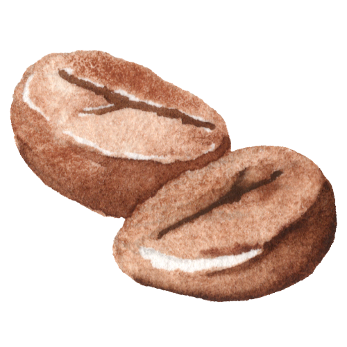 Fresh Beans
